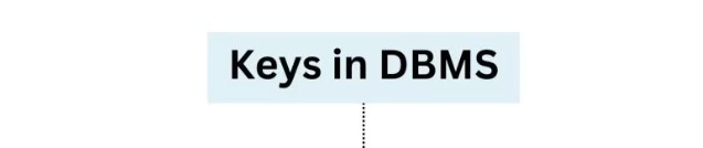 keys in database management system