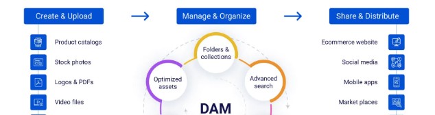 do digital asset management systems need a database