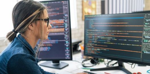 entry level programmer