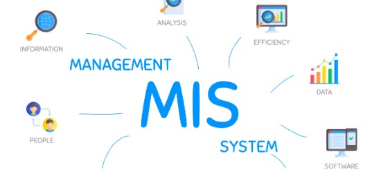 MIS Database Management