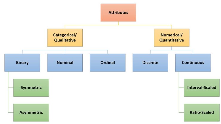 Types of Attributes in DBMS