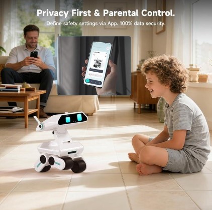 Major Risks of AI Companion Robots Major Risks of AI Companion Robots
